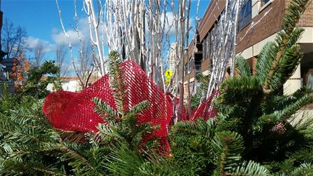 Downtown winter planter